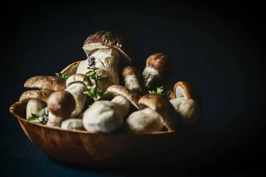 The Magic of Mushrooms For Performance